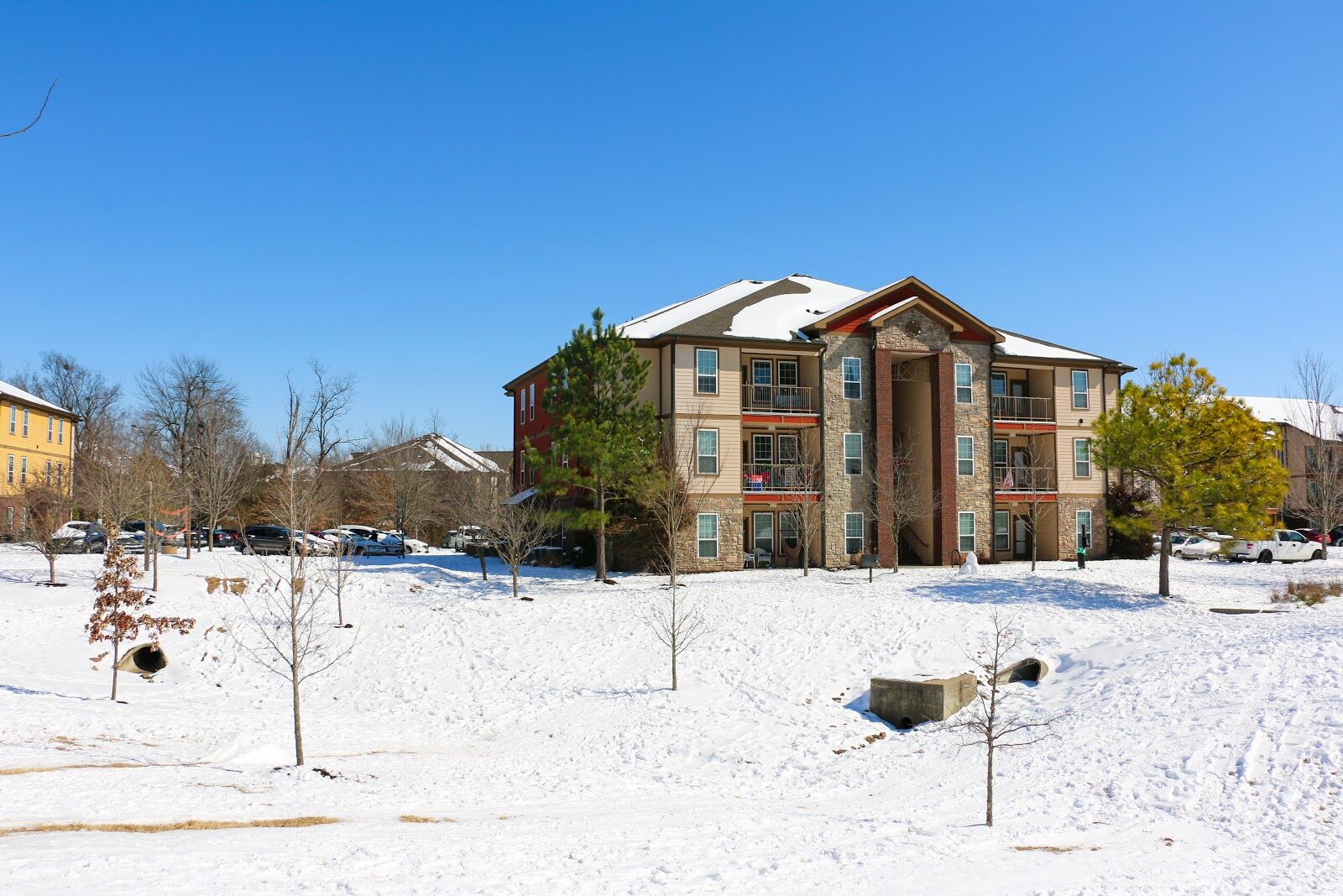 Snow Day Feb. 19 Apartments